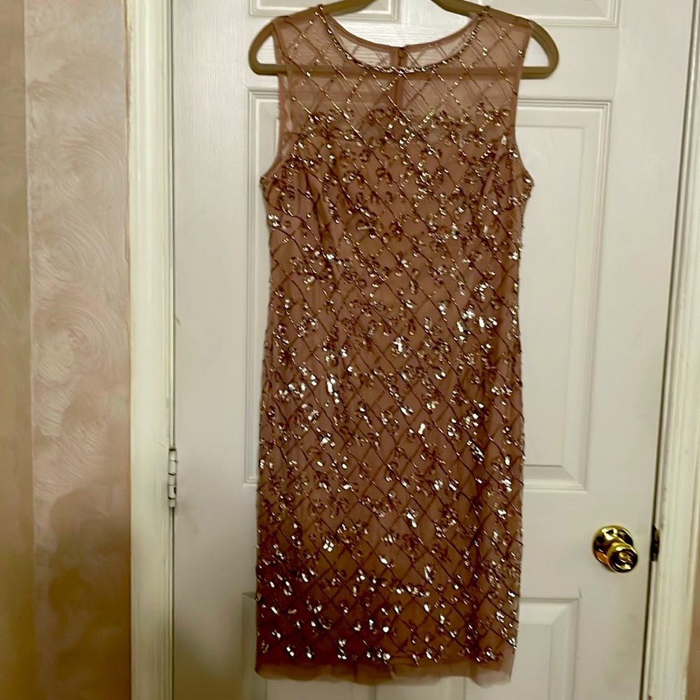 Beautiful sequined dress.